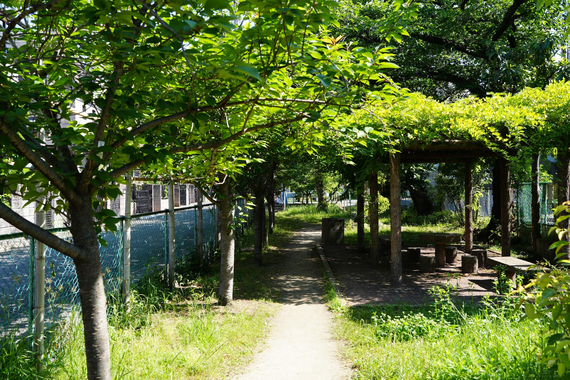 友呂岐緑地内藤棚の下のベンチ