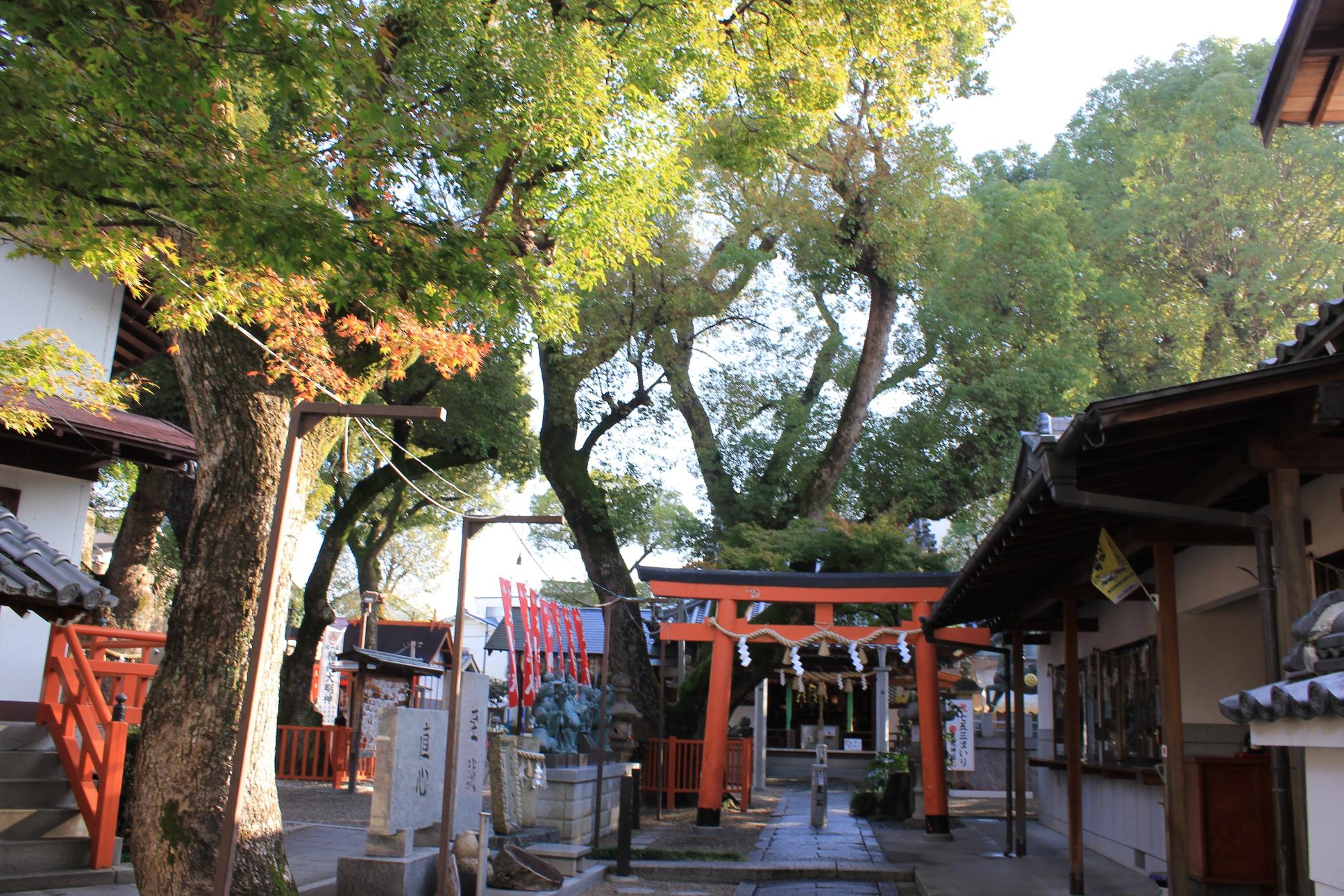 八坂神社の朱色の鳥居と本殿