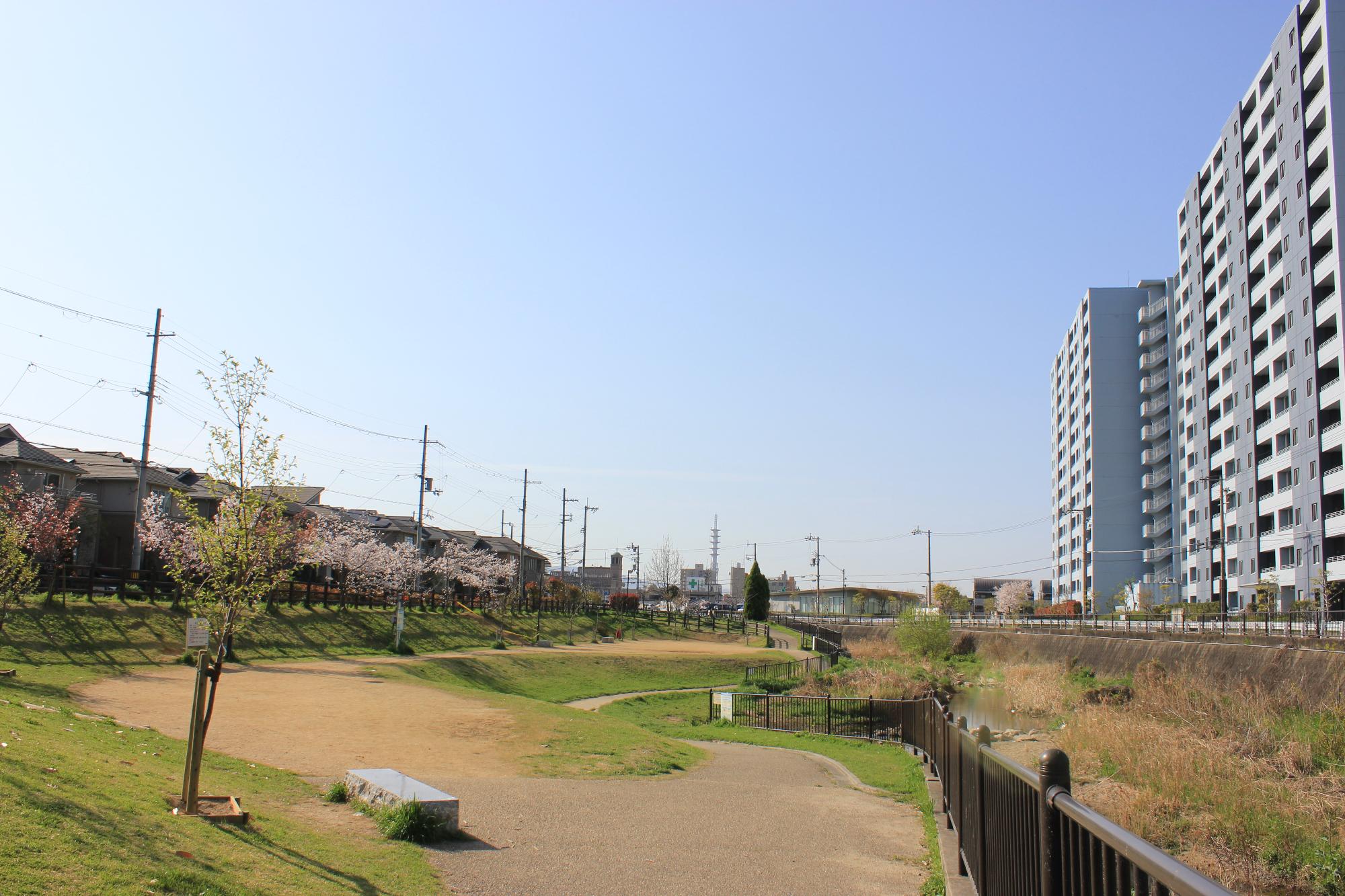 幸町公園を北から見た写真