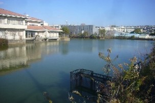 五藤池(ごとがいけ)の水面に建物が反射して写っている写真