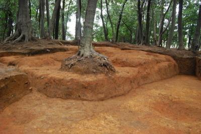 茶色い土で出来た金堂跡基壇(土壇)の写真