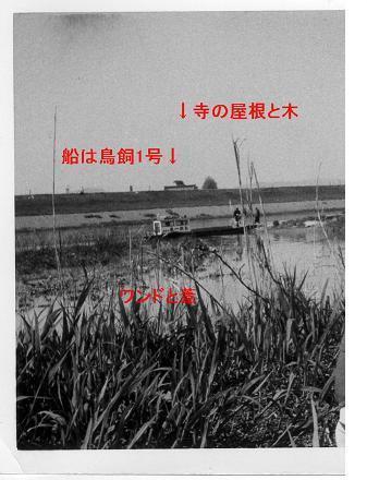 ワンドと葦の先に水路があり、停まっている船は鳥飼1号、遠くに寺の屋根と木が映っている仁和寺の渡しの白黒写真