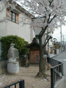 説明看板を持っている鉢かつぎ姫の形をした石像と桜の奥に祠がある写真