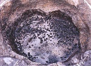 ドングリなどの木の実の跡が黒く残っている高宮八丁遺跡出土貯蔵穴の写真