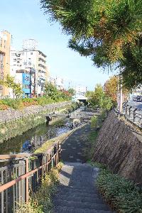 せせらぎ親水公園水辺