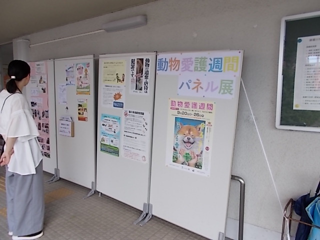動物愛護週間パネル展