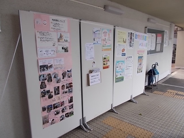 動物クイズ