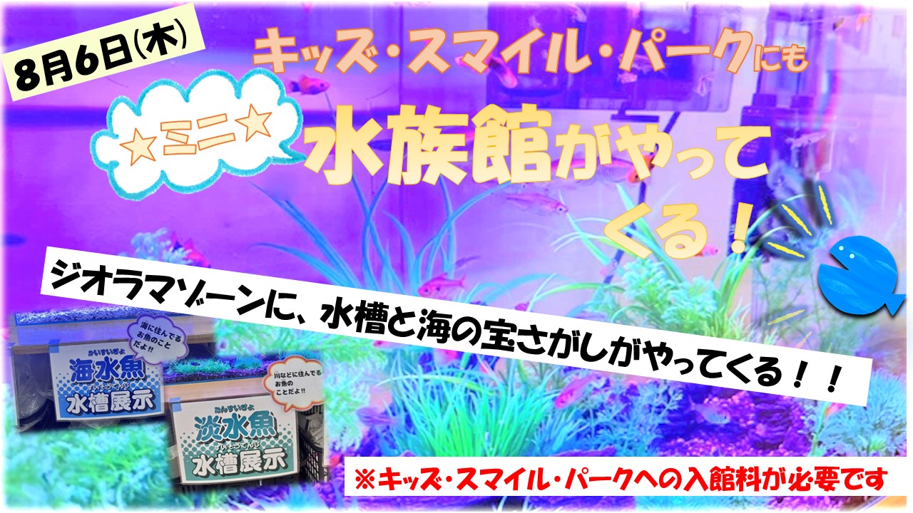 イベント
