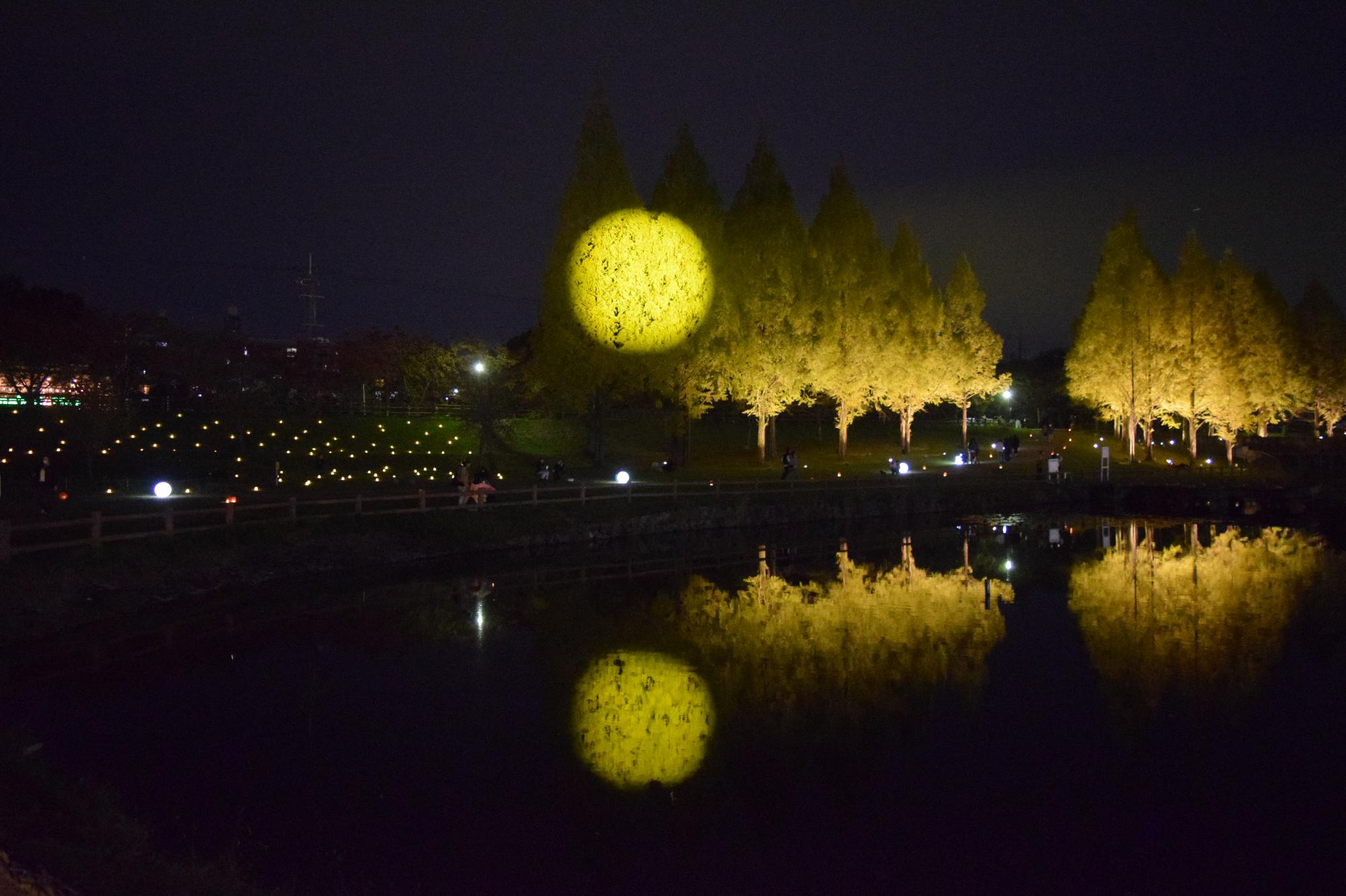 月見ライトアップ