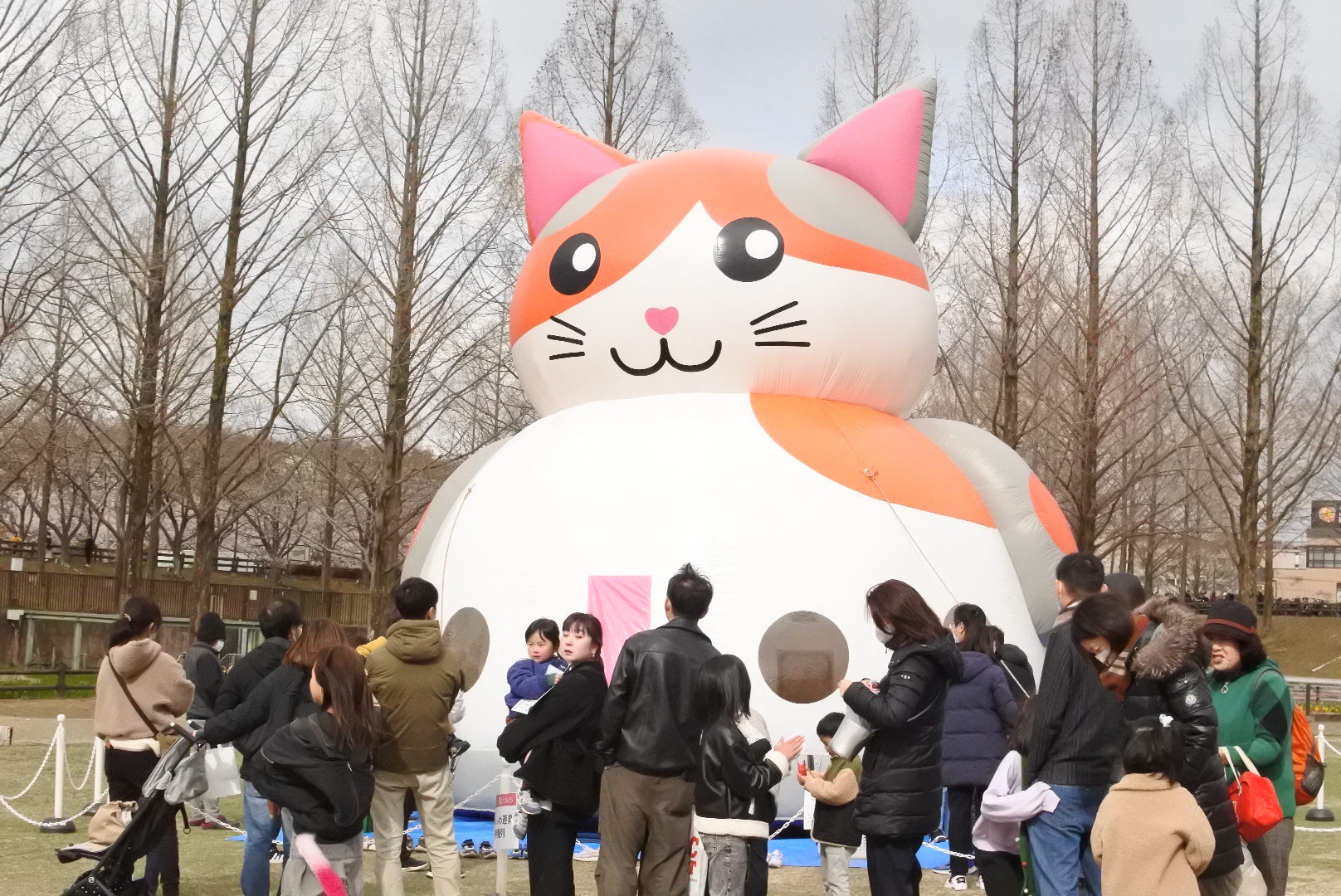 ふわふわ遊具