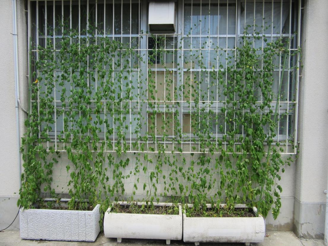 市立第二中学校1