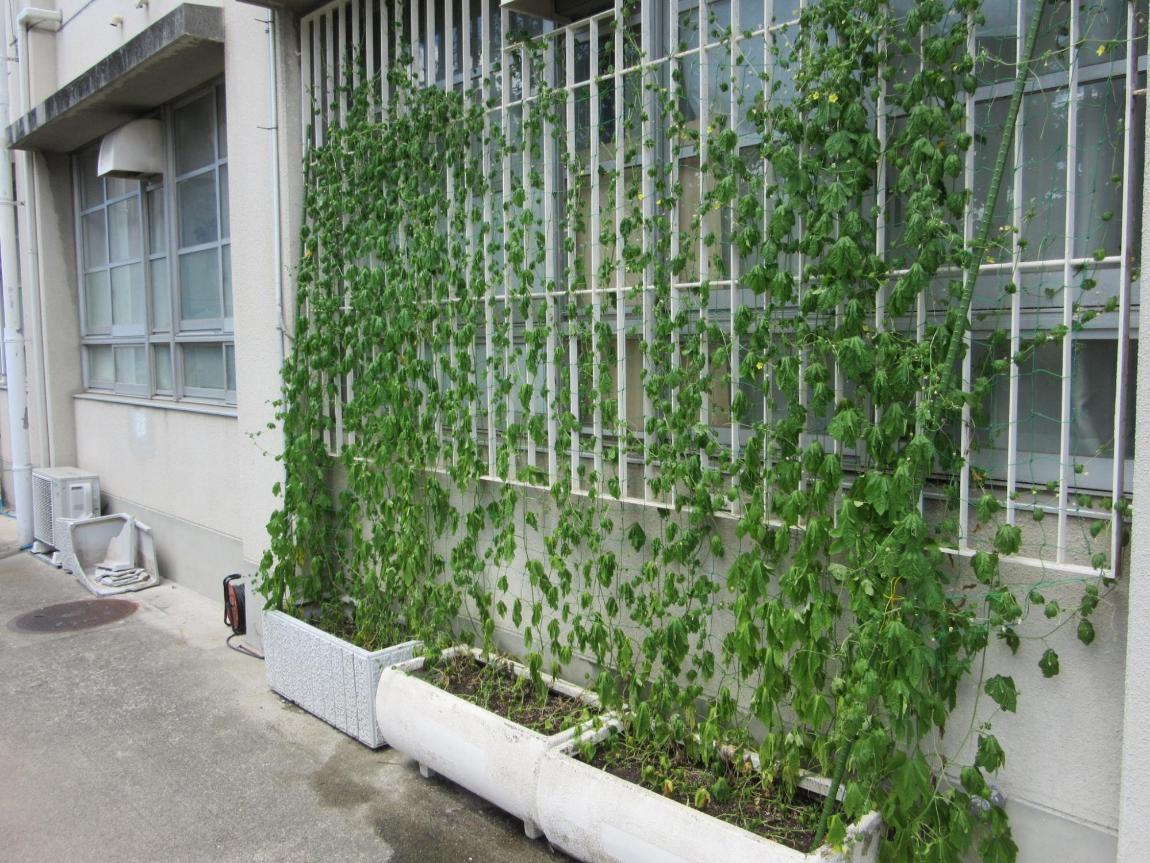 市立第二中学校2