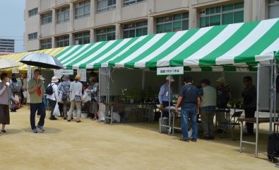 みどりのゾーン