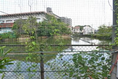 網とフェンスで覆われた水の溜まっている蔵王池の現在の写真