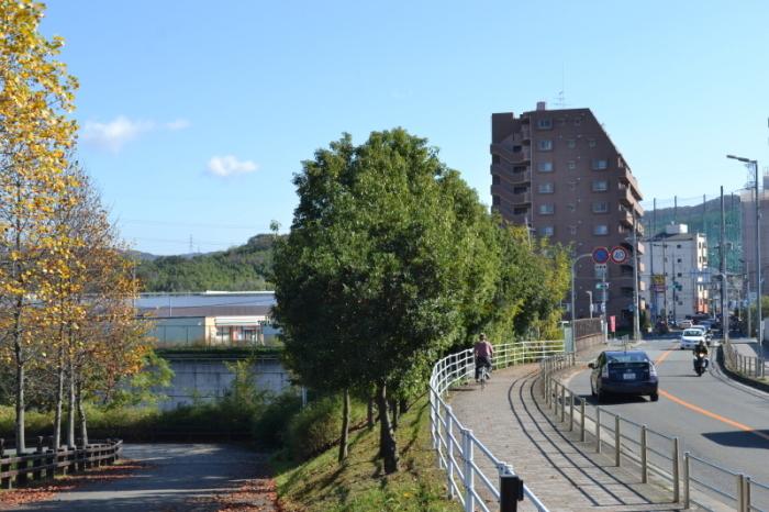 右側に道路が通って車が行きかっており、道路沿いには木々や建物が立ち並び、左側には寝屋川公園へ降りる道が写っている現在の寝屋川公園付近の写真