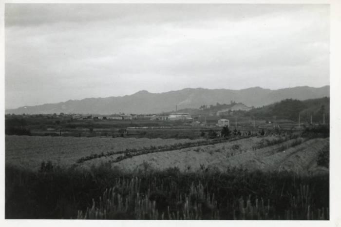 遠くに山々が連なり、手前には畑が広がり、その奥に民家が広がっているのどかな昔の寝屋川公園付近の白黒写真