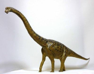 ブラキオサウルスの模型写真