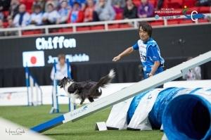 世界大会で障害物競争をしている西田さんと愛犬「シフォン」の写真