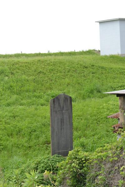 草むらに二十箇用水樋記念碑が建っている写真