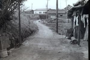 舗装されていない道の左側の土手下に用水路が流れており、右側には木造の家が建っている白黒写真