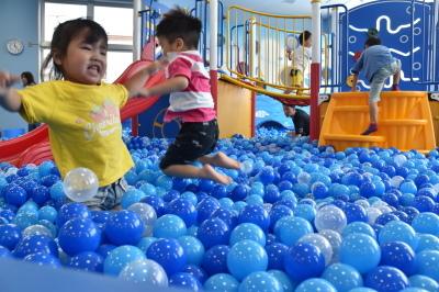 水色や青色などの沢山のボールが入っているボールプールで楽しそうに遊んでいる子供たちの写真