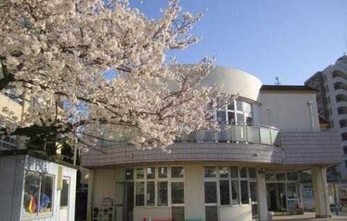 園舎に咲く桜の写真