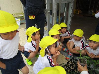 プールの前に集まっている子供たちが真ん中の男の子の右手に注目している写真