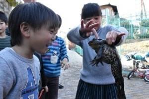 泥を取り除いて捕獲したウシガエルを、女の子が左手で持ち右手の人差し指で頭を触っている写真