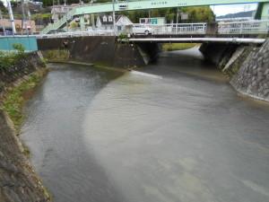 寝屋川斎場付近の川と川にかかっている橋、道路の歩道橋の写真