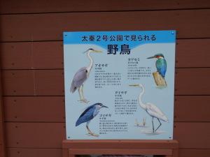 太秦2号公園で見られる野鳥、4種類が書いてある看板の写真