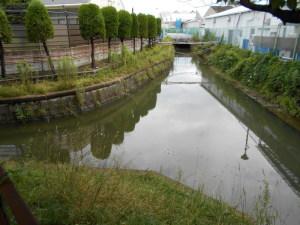 茶色く濁った水が流れる木田地内水路の左側には植木、右側には建物が建っている写真