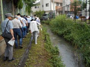 寝屋川第四水路沿いを列になって歩いている参加者の写真