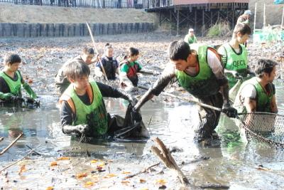 緑色のゼッケンを付けた参加者たちが、池の中に入って泥だらけになりながらスイレンの除去作業を行っている写真