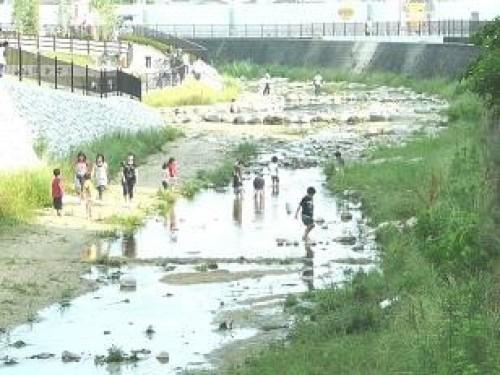 川の中で遊んでいる子供たちや河川敷を歩いている人たちがいる幸町公園全景写真