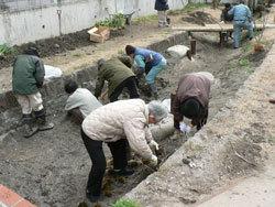 小川の両側の土手に、参加者が土を掘ってネコヤナギの植物を植え付けている写真