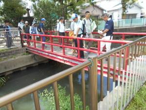 水路にかかった赤い橋の上から水路をのぞき込んでいる参加者の写真