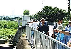 小松病院裏の橋の上から川をのぞき込んでいる参加者の写真