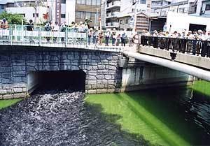 導水路の排水樋門に流れている真っ黒なヘドロを含む排水を橋の上から眺めている参加者の写真