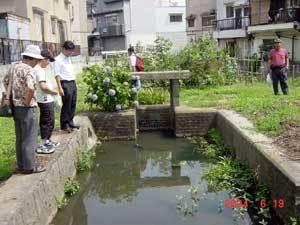 水が溜まり水草が生えている茨田の樋跡を上から覗き込んでいる参加者の写真