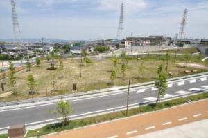 植樹された緑地を道路側から撮影した写真