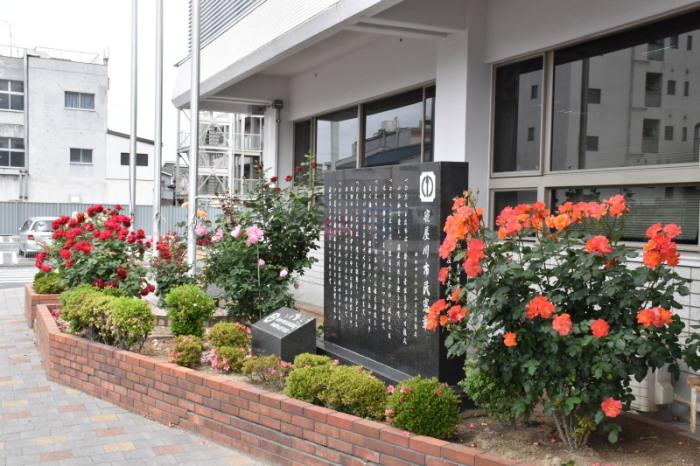 本庁舎入口の市民憲章石碑の横に咲いている赤色、ピンク色、オレンジ色のバラの写真