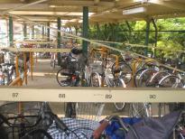 京阪寝屋川市駅 駅西自転車駐車場に自転車がたくさん駐輪されている写真