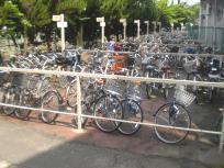 寝屋川市駅前第1自転車駐車場にたくさん駐輪されている写真