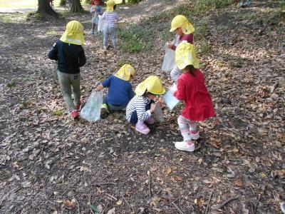 黄色い帽子を被った園児が落ち葉やドングリを拾っている写真