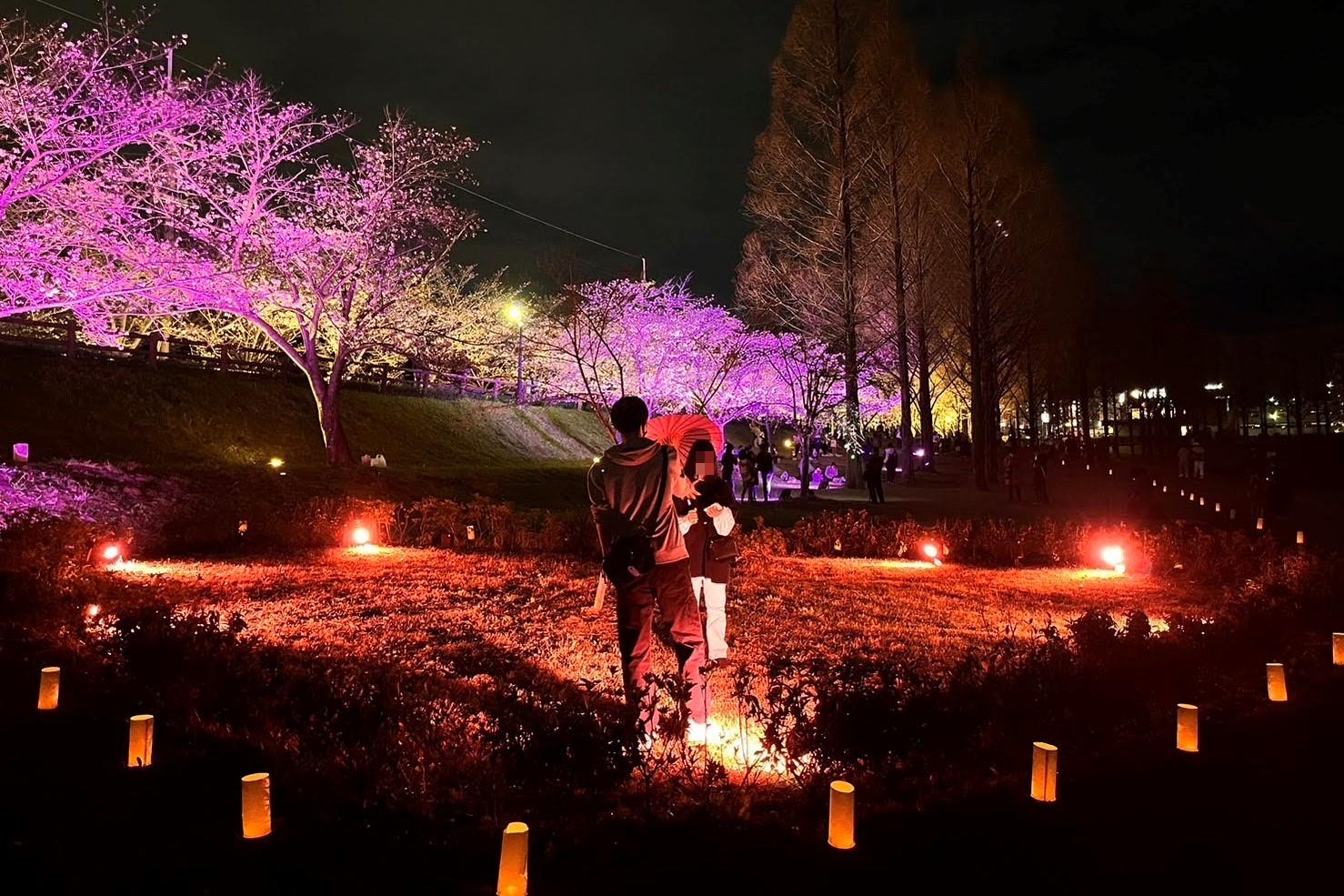 温かい光で演出されたきぼうの桜の前で、来場者が和傘を持って写真を撮っています