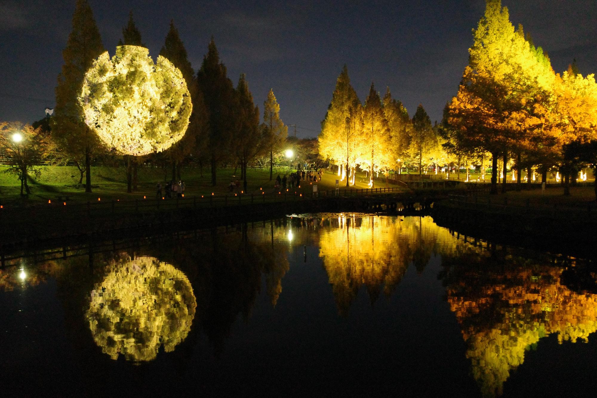 メタセコイアに投影された満月とライトアップされたメタセコイア並木が水面にも映し出されています