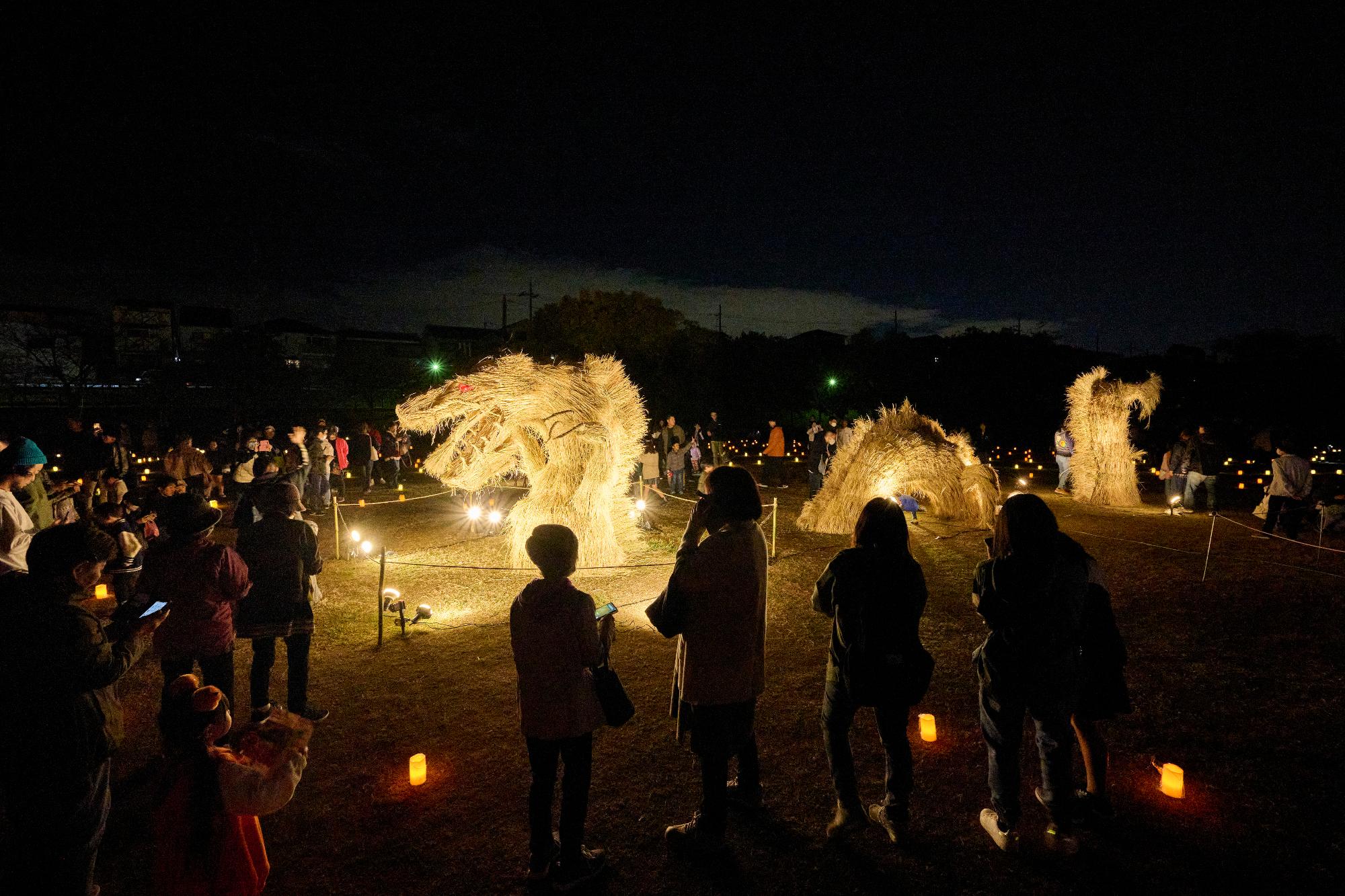干支である辰のとんど