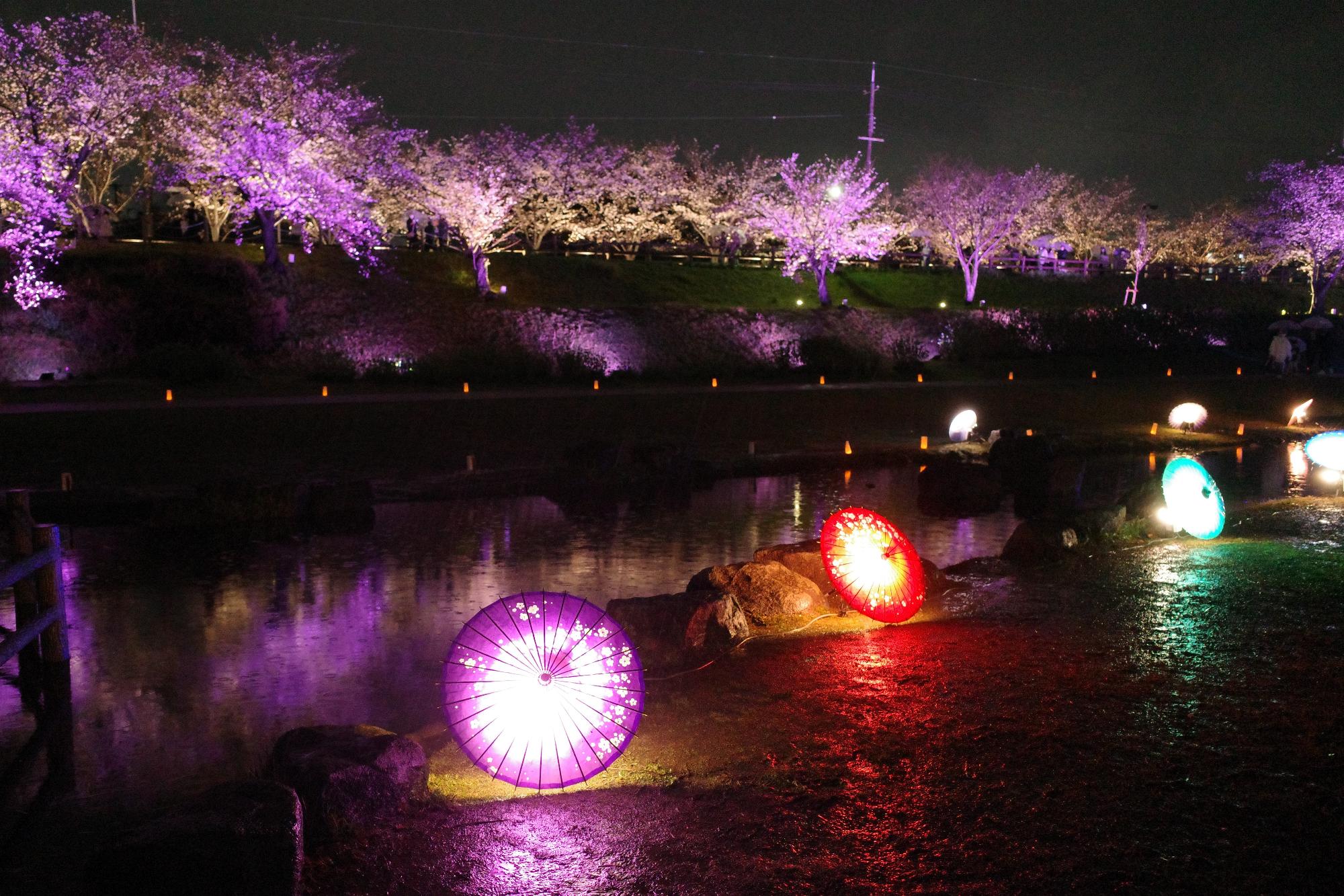 水辺はライトアップされた和傘で幻想的な空間になっています